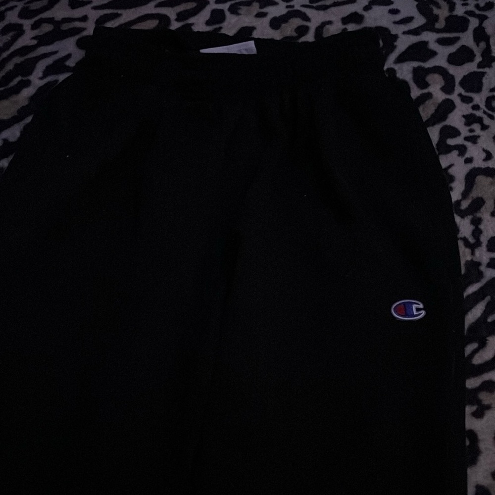 size small, brand, champion.